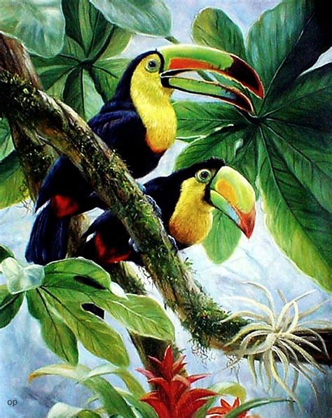 Pin by Sheri Schneider on Aves | Parrots art, Birds painting, Tropical art