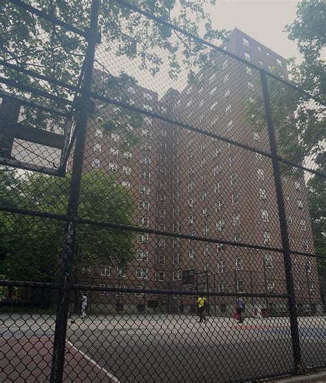 More than 800 children poisoned by lead in NYCHA | New York Amsterdam News: The new Black view