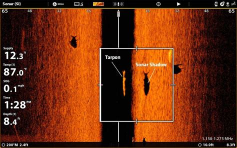 How to Locate and Catch More Tarpon with Side Imaging Sonar [New Age ...