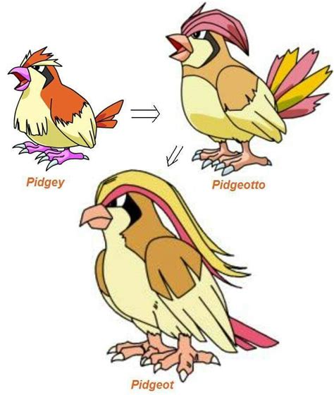 Pidgey Evolution | Pokemon, 3ds pokemon, Dog pokemon