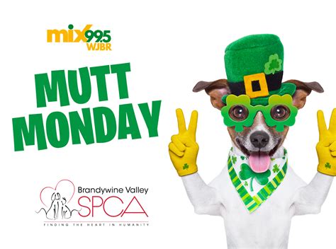 Mutt Monday