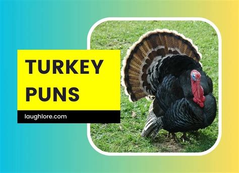 101 Turkey Puns