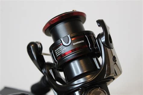 The Best Fishing Reel Brands for Every Budget