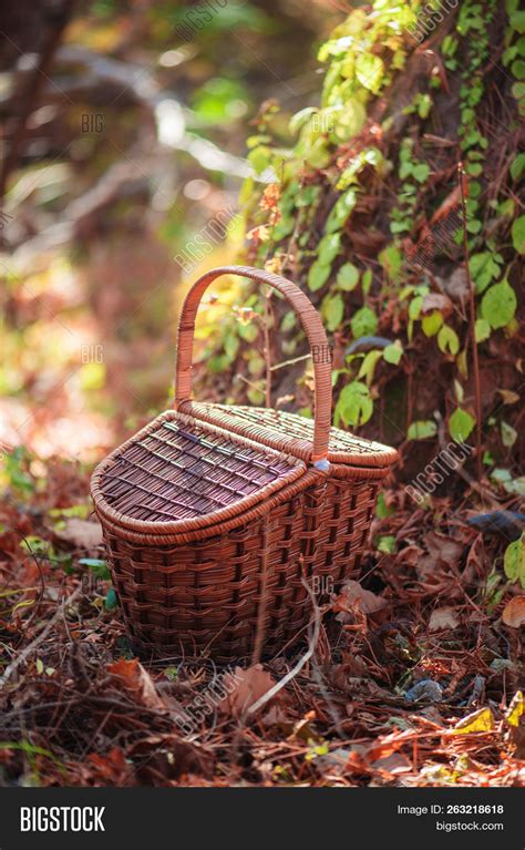 Picnic Basket Autumn Image & Photo (Free Trial) | Bigstock