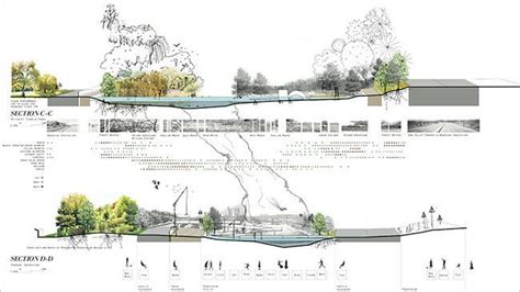 Section perspective | Landscape plans, Landscape architecture ...