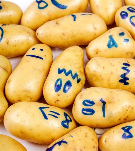 Funny potato stock image. Image of background, emotions - 60388433