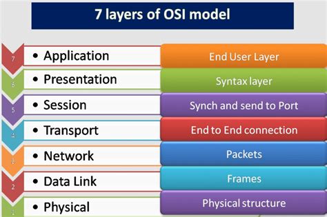 The Osi Model Explained And How To Easily Remember It - vrogue.co