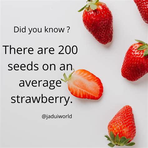 Strawberry Facts | Food facts, Strawberry facts, Food