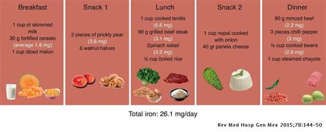 Dietary recommendations in patients with deficiency anaemia | Revista Médica del Hospital ...