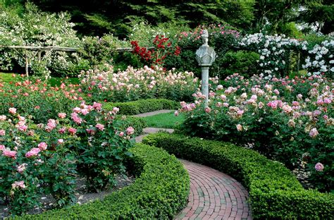 Rose Garden — Old Westbury Gardens