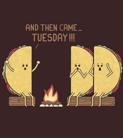 Taco Tuesday! #TacoTuesday | Funny taco memes, Tuesday meme, Taco ...