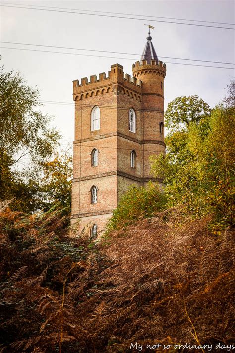 Jesiennie w Painshill Park / Autumn in Painshill Park – My (not) so ordinary days