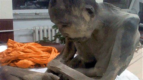 Mummified 200 Yr Old Monk Isn't DEAD - In Deep Meditation - YouTube