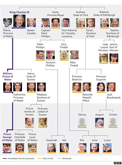 Royal Family tree: King Charles III's closest family and line of succession - BBC News