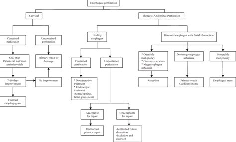 agua Turbina homosexual esophageal perforation management Tormento ...