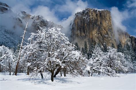 El Capitan, Yosemite National Park Full HD Wallpaper and Background ...