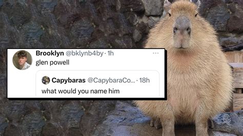 21 of the Funniest Tweets from August 29, 2023 | Cracked.com