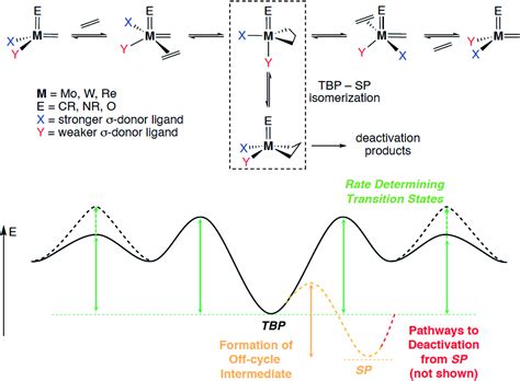 Olefin metathesis: what have we learned about homogeneous and ...