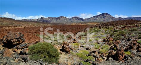 Mountains In The Island Of Tenerife Stock Photo | Royalty-Free | FreeImages