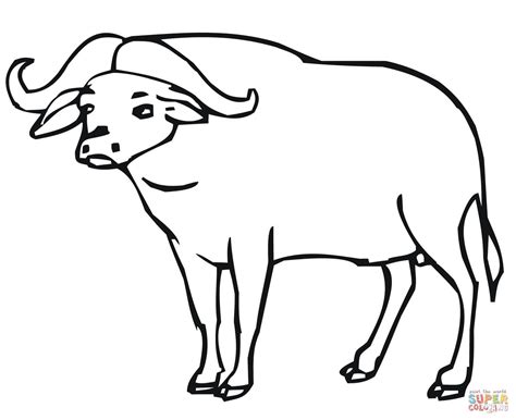 Buffalo Outline Drawing at GetDrawings | Free download