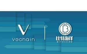 VeChain Partnerships - FULL List! [2022 UPDATED]