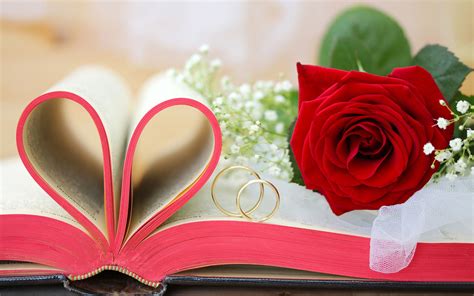 Wedding Wishes Background Design - Videohive , After Effects,Pro Video ...