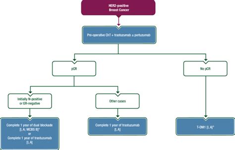 HER2-positive breast cancer treatment. a ESMO-MCBS v1.1 scores for new... | Download Scientific ...