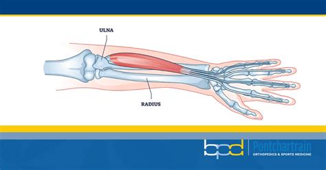 Forearm Fracture - Brandon P. Donnelly, MD