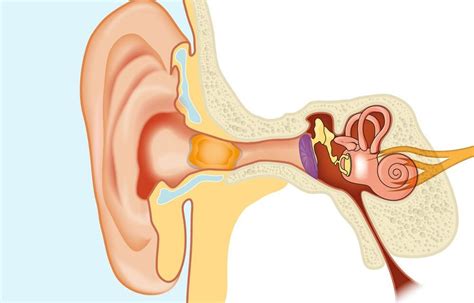 What Are the Symptoms of Ear Wax Build-up? Have you got them?