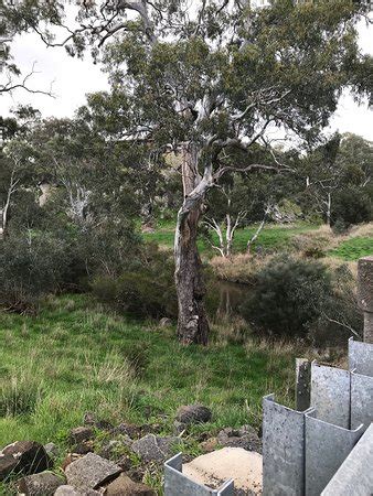 Redesdale Bridge: UPDATED 2020 All You Need to Know Before You Go (with PHOTOS)