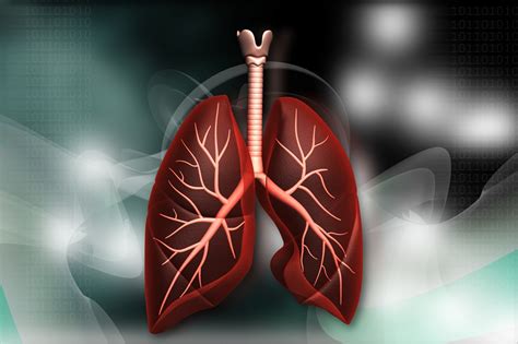 Double Lung Transplantation Improves Survival in Interstitial Pulmonary Fibrosis - Pulmonology ...