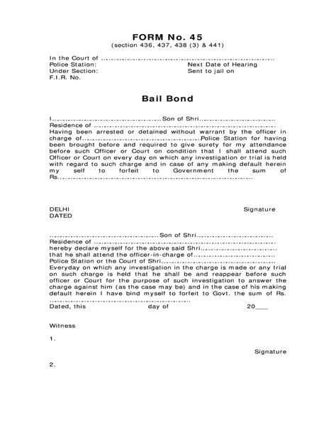 Bail Bond Format Pdf 2020-2022 - Fill and Sign Printable Template ...