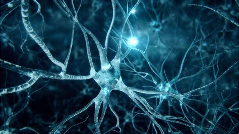 Neuroscience Wallpapers - Top Free Neuroscience Backgrounds - WallpaperAccess