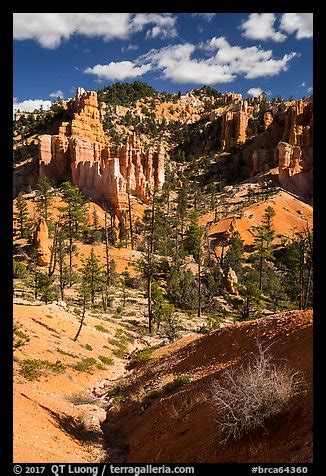 Picture/Photo: Hill with hoodoos, Fairyland Loop. Bryce Canyon National ...