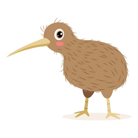 Premium Vector | Cartoon Drawing Of A Kiwi Bird