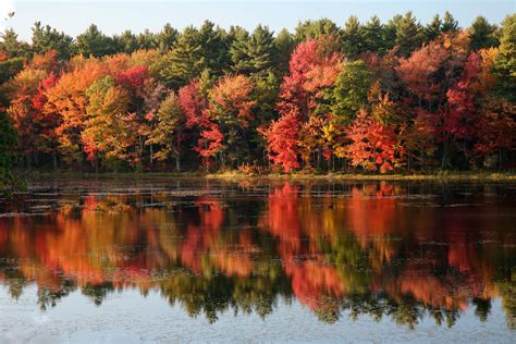 Tips for Shooting Fall Foliage and Autumn Scenes - Tony & Chelsea Northrup