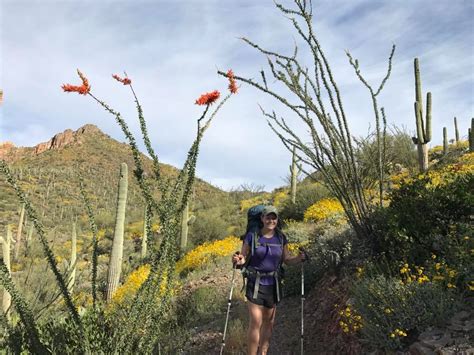 Thru-Hiking the Arizona Trail- everything you need to know