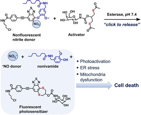 Click Release of Nitrite - ChemistryViews