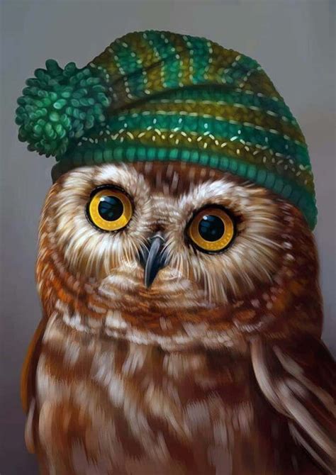 Download Owl In A Hat | Wallpapers.com