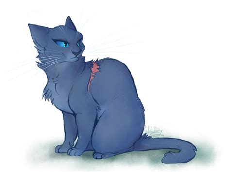 100 Warrior Cats Challenge- Bluestar by PureRubyDragon on DeviantArt