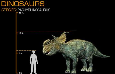 Disney Dinosaur Size Comparison Pachyrhinosaurus by Wolfman3200 on DeviantArt