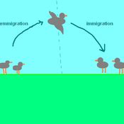 Immigration and Emigration Tutorials, Quizzes, and Help | Sophia Learning