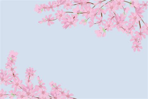 Cherry blossom flower background square social media template banner vector illustration. Cute ...