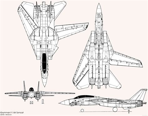 Grumman F-14 Tomcat (Cutaway) (Spaccato) (Profili)