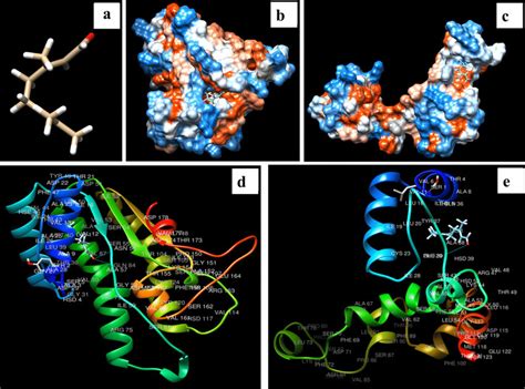 3-D structure of citral a, Ver-1 and Omt-A protein structures b and c,... | Download Scientific ...