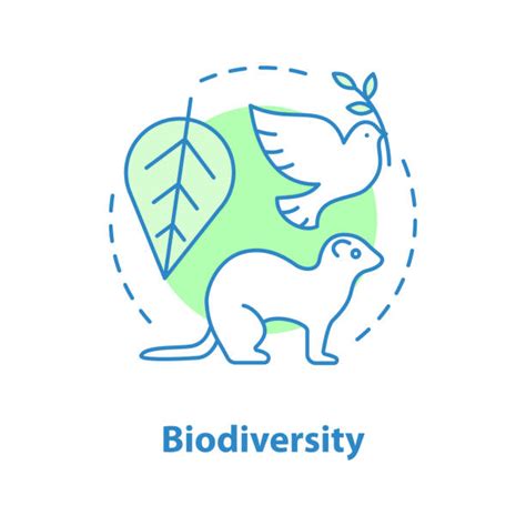 Biodiversity Icon stock vectors - iStock