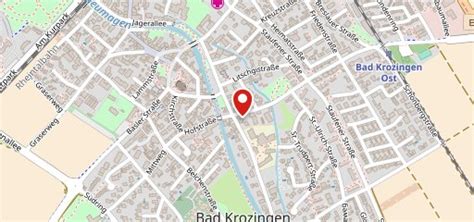 Niwano Bad Krozingen restaurant, Bad Krozingen - Restaurant reviews