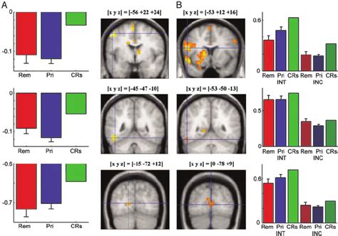 Brain activity differences related to priming (implicit memory) in... | Download Scientific Diagram