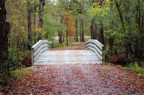 Moores Creek Bridge Photograph by Cynthia Guinn - Fine Art America