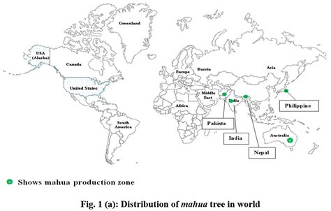 Mahua: A boon for Pharmacy and Food Industry